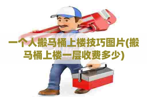 一个人搬马桶上楼技巧图片(搬马桶上楼一层收费多少) 一个人搬马桶上楼技巧图片(搬马桶上楼一层收费多少)