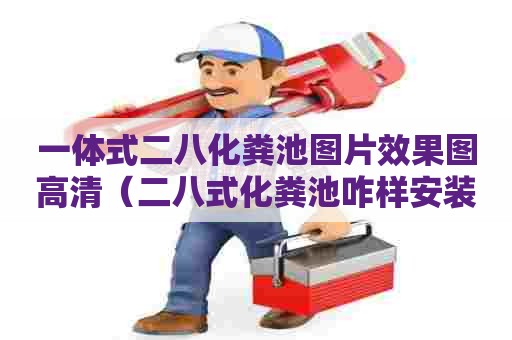 一体式二八化粪池图片效果图高清（二八式化粪池咋样安装）