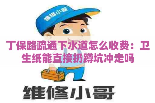 丁保路疏通下水道怎么收费：卫生纸能直接扔蹲坑冲走吗