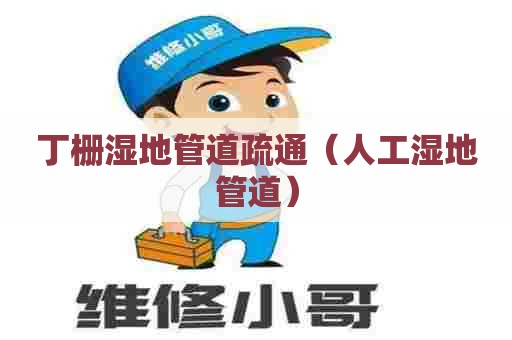 丁栅湿地管道疏通（人工湿地管道）