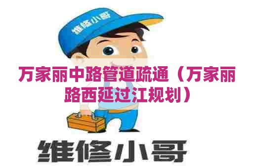 万家丽中路管道疏通（万家丽路西延过江规划）