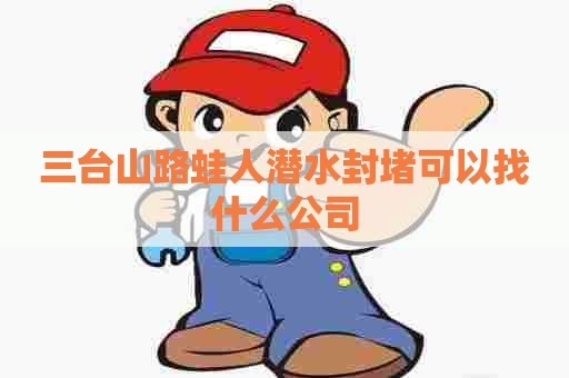 三台山路蛙人潜水封堵可以找什么公司