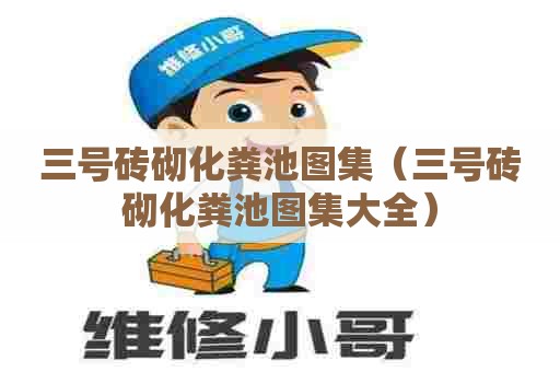 三号砖砌化粪池图集（三号砖砌化粪池图集大全）