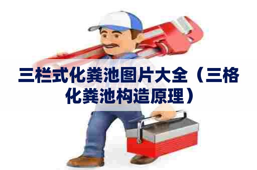 三栏式化粪池图片大全（三格化粪池构造原理）