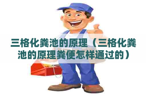 三格化粪池的原理（三格化粪池的原理粪便怎样通过的）
