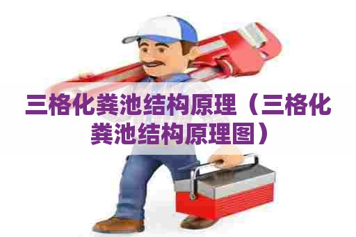 三格化粪池结构原理（三格化粪池结构原理图）