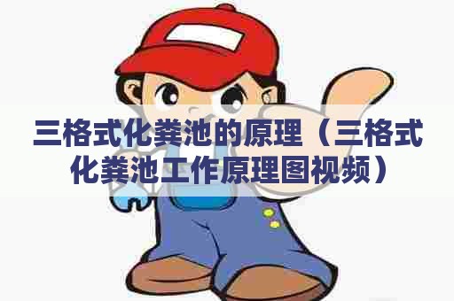 三格式化粪池的原理（三格式化粪池工作原理图视频）