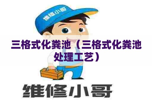 三格式化粪池（三格式化粪池处理工艺）