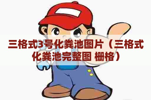 三格式3号化粪池图片（三格式化粪池完整图 栅格）