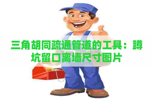 三角胡同疏通管道的工具：蹲坑留口离墙尺寸图片