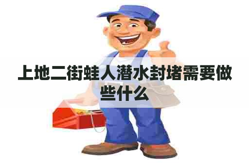上地二街蛙人潜水封堵需要做些什么 上地二街蛙人潜水封堵需要做些什么