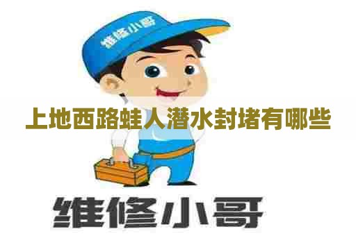 上地西路蛙人潜水封堵有哪些