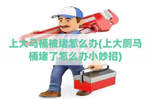 上大马桶被堵怎么办(上大厕马桶堵了怎么办小妙招) 上大马桶被堵怎么办(上大厕马桶堵了怎么办小妙招)