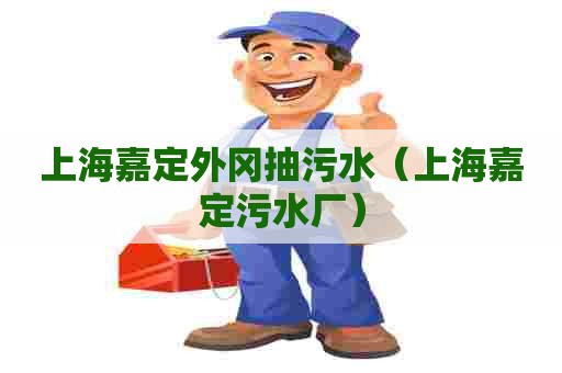 上海嘉定外冈抽污水（上海嘉定污水厂）