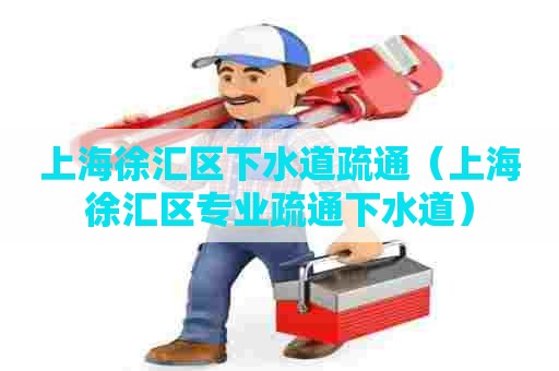 上海徐汇区下水道疏通（上海徐汇区专业疏通下水道）