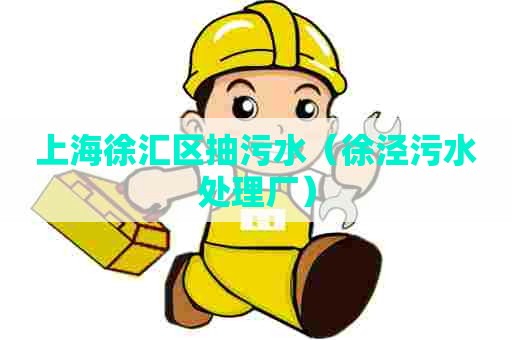 上海徐汇区抽污水（徐泾污水处理厂）