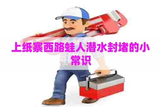 上纸寨西路蛙人潜水封堵的小常识