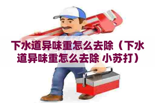 下水道异味重怎么去除(下水道异味重怎么去除 小苏打) 下水道异味重怎么去除(下水道异味重怎么去除 小苏打)