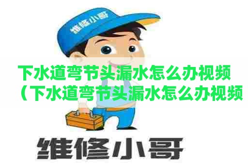 下水道弯节头漏水怎么办视频（下水道弯节头漏水怎么办视频教程）