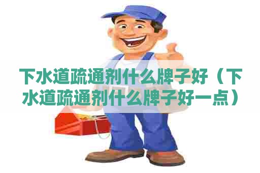 下水道疏通剂什么牌子好（下水道疏通剂什么牌子好一点）