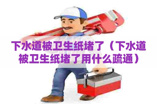下水道被卫生纸堵了（下水道被卫生纸堵了用什么疏通）