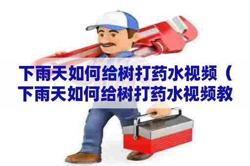 下雨天如何给树打药水视频（下雨天如何给树打药水视频教程）