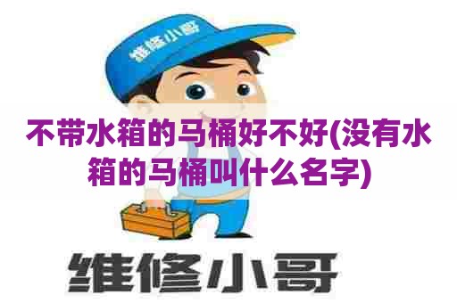 不带水箱的马桶好不好(没有水箱的马桶叫什么名字) 不带水箱的马桶好不好(没有水箱的马桶叫什么名字)