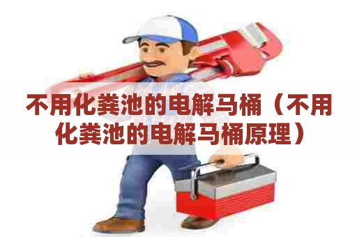 不用化粪池的电解马桶（不用化粪池的电解马桶原理）
