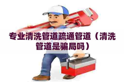 专业清洗管道疏通管道（清洗管道是骗局吗）