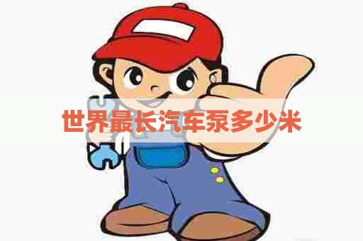 世界最长汽车泵多少米