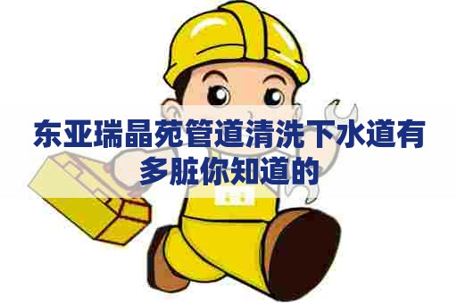 东亚瑞晶苑管道清洗下水道有多脏你知道的