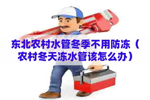 东北农村水管冬季不用防冻(农村冬天冻水管该怎么办) 东北农村水管冬季不用防冻(农村冬天冻水管该怎么办)