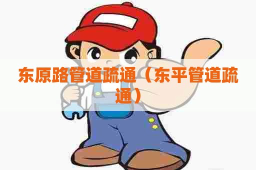 东原路管道疏通（东平管道疏通）