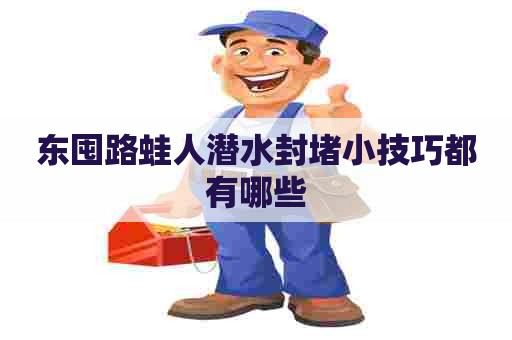 东囤路蛙人潜水封堵小技巧都有哪些