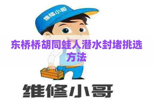 东桥桥胡同蛙人潜水封堵挑选方法