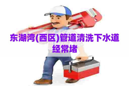 东湖湾(西区)管道清洗下水道经常堵