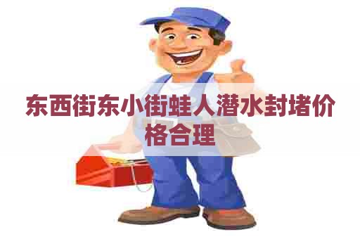 东西街东小街蛙人潜水封堵价格合理
