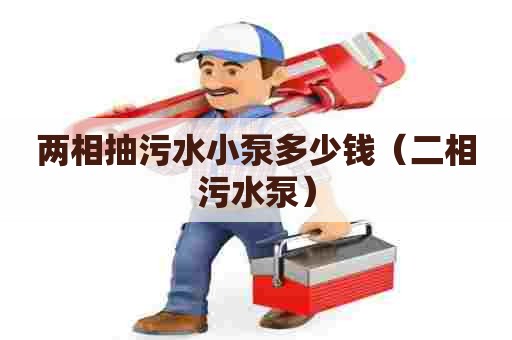 两相抽污水小泵多少钱（二相污水泵）