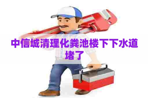 中信城清理化粪池楼下下水道堵了