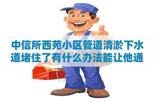 中信所西苑小区管道清淤下水道堵住了有什么办法能让他通