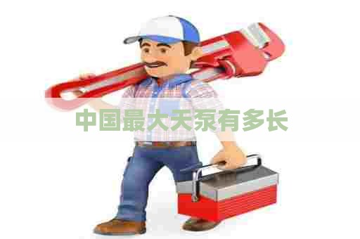 中国最大天泵有多长