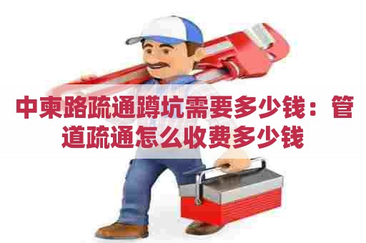 中柬路疏通蹲坑需要多少钱：管道疏通怎么收费多少钱