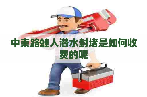 中柬路蛙人潜水封堵是如何收费的呢