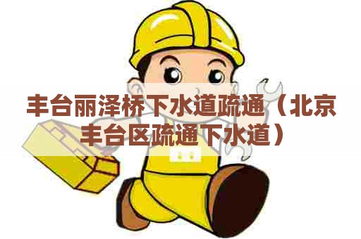 丰台丽泽桥下水道疏通（北京丰台区疏通下水道）