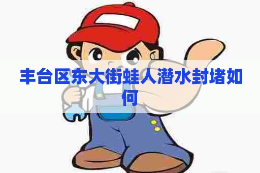 丰台区东大街蛙人潜水封堵如何