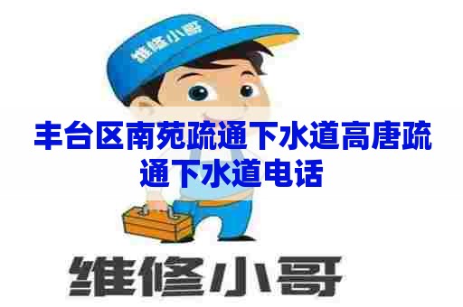 丰台区南苑疏通下水道高唐疏通下水道电话 丰台区南苑疏通下水道高唐疏通下水道电话