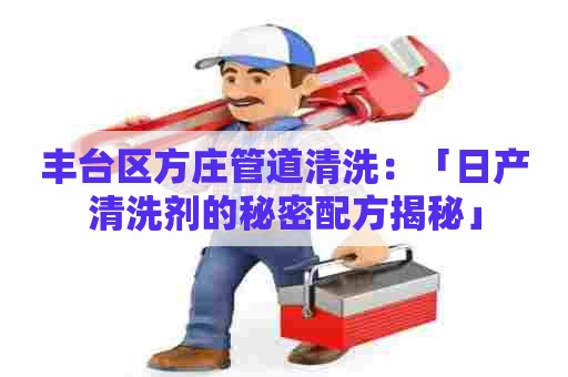 丰台区方庄管道清洗：「日产清洗剂的秘密配方揭秘」
