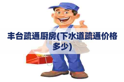 丰台疏通厨房(下水道疏通价格多少)