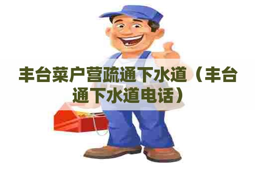 丰台菜户营疏通下水道（丰台通下水道电话）