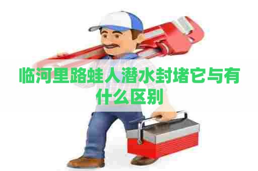 临河里路蛙人潜水封堵它与有什么区别